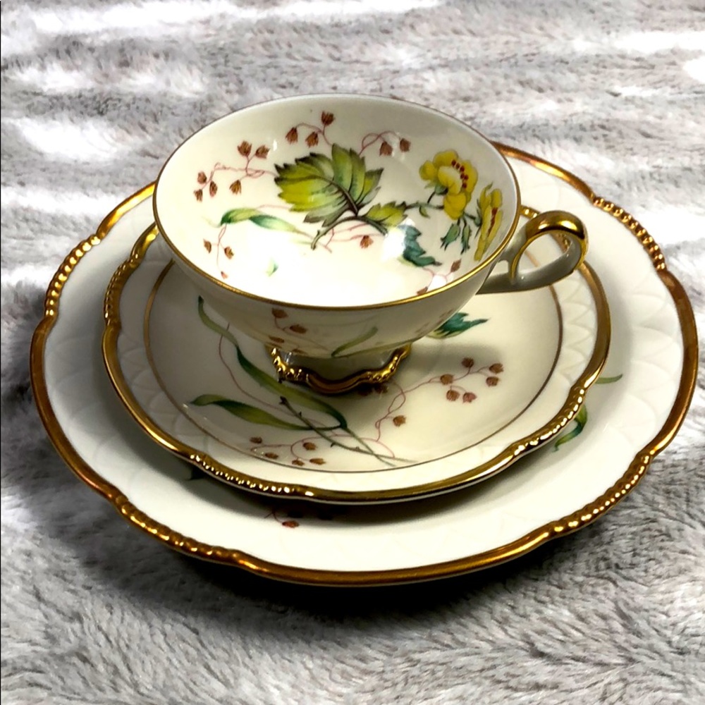 Mitterteich Bavaria teacup saucer and plate